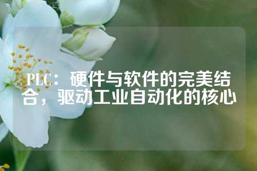 PLC：硬件与软件的完美结合，驱动工业自动化的核心