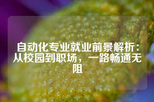 自动化专业就业前景解析：从校园到职场，一路畅通无阻