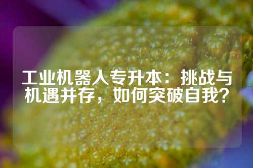 工业机器人专升本：挑战与机遇并存，如何突破自我？