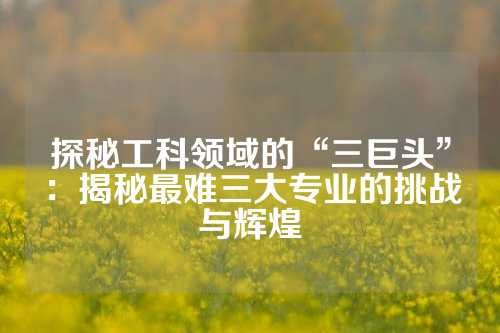探秘工科领域的“三巨头”：揭秘最难三大专业的挑战与辉煌