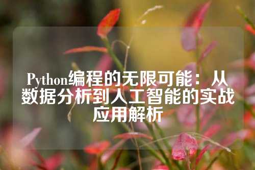 Python编程的无限可能：从数据分析到人工智能的实战应用解析