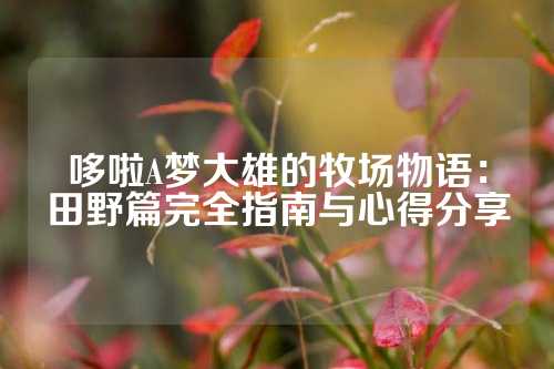 哆啦A梦大雄的牧场物语：田野篇完全指南与心得分享