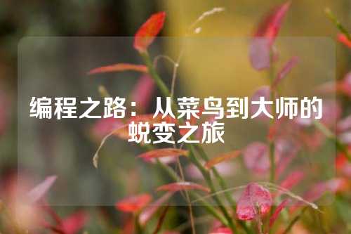 编程之路：从菜鸟到大师的蜕变之旅