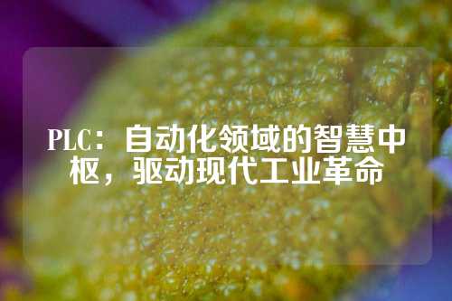 PLC:自动化领域的智慧中枢,驱动现代工业革命