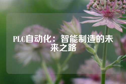 PLC自动化：智能制造的未来之路