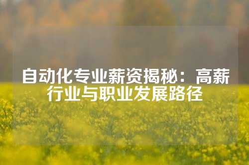 自动化专业薪资揭秘：高薪行业与职业发展路径