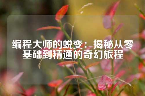 编程大师的蜕变：揭秘从零基础到精通的奇幻旅程