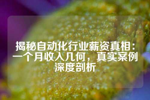 揭秘自动化行业薪资真相：一个月收入几何，真实案例深度剖析