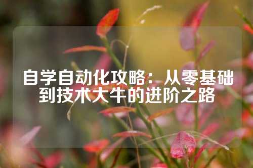 自学自动化攻略：从零基础到技术大牛的进阶之路