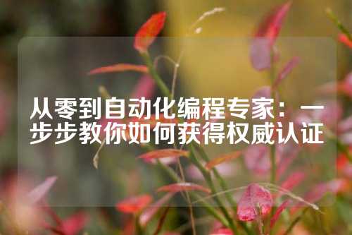 从零到自动化编程专家：一步步教你如何获得权威认证