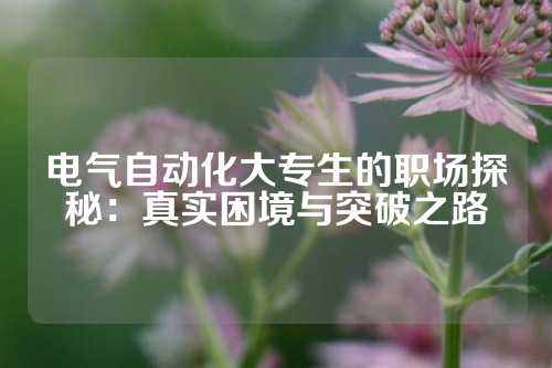 电气自动化大专生的职场探秘：真实困境与突破之路