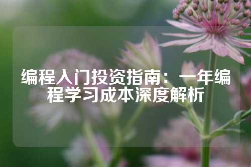编程入门投资指南：一年编程学习成本深度解析