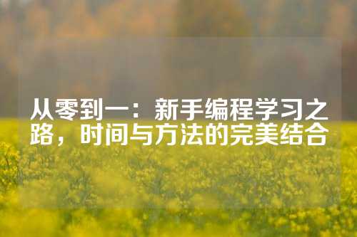 从零到一：新手编程学习之路，时间与方法的完美结合