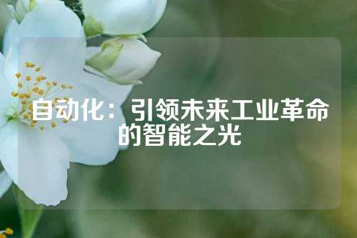 自动化：引领未来工业革命的智能之光