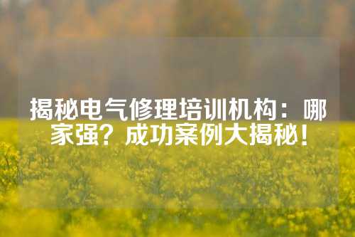 揭秘电气修理培训机构：哪家强？成功案例大揭秘！