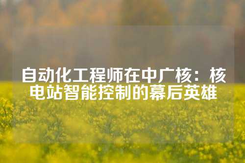 自动化工程师在中广核：核电站智能控制的幕后英雄