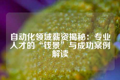 自动化领域薪资揭秘：专业人才的“钱景”与成功案例解读