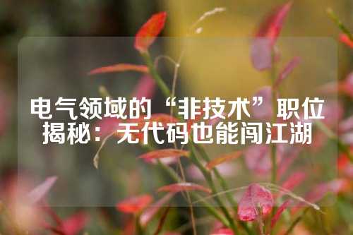 电气领域的“非技术”职位揭秘:无代码也能闯江湖