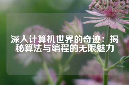 深入计算机世界的奇迹：揭秘算法与编程的无限魅力