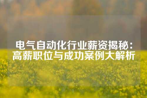 电气自动化行业薪资揭秘：高薪职位与成功案例大解析