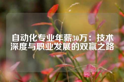 自动化专业年薪30万：技术深度与职业发展的双赢之路