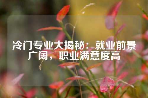 冷门专业大揭秘：就业前景广阔，职业满意度高