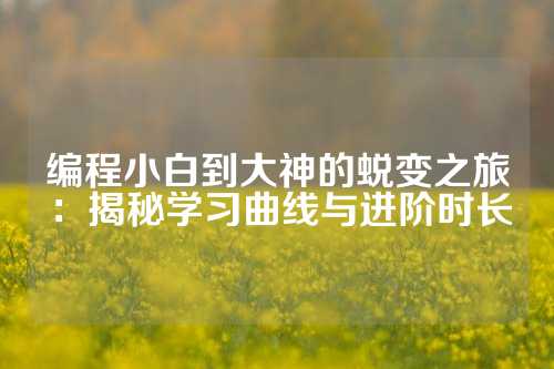 编程小白到大神的蜕变之旅：揭秘学习曲线与进阶时长
