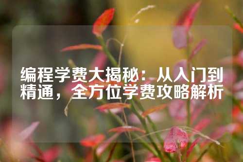 编程学费大揭秘：从入门到精通，全方位学费攻略解析