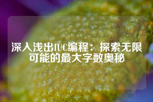 深入浅出IUC编程：探索无限可能的最大字数奥秘