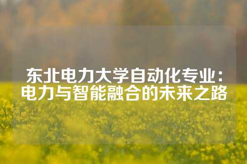 东北电力大学自动化专业：电力与智能融合的未来之路