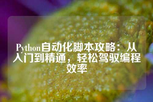 Python自动化脚本攻略：从入门到精通，轻松驾驭编程效率