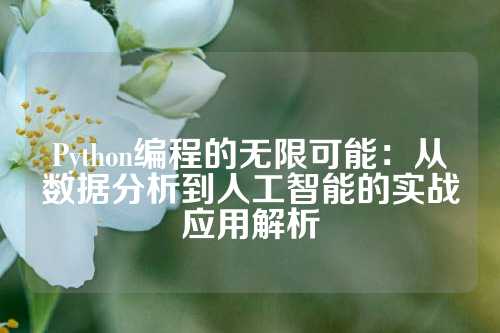 Python编程的无限可能：从数据分析到人工智能的实战应用解析