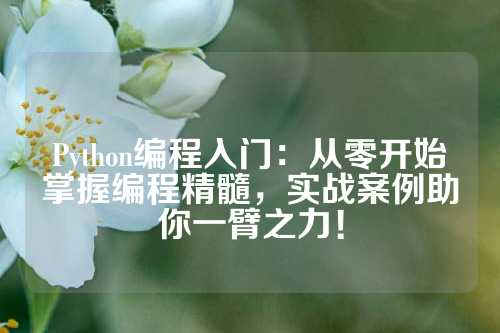 Python编程入门：从零开始掌握编程精髓，实战案例助你一臂之力！