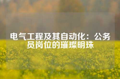 电气工程及其自动化：公务员岗位的璀璨明珠
