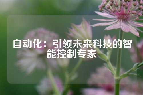 自动化：引领未来科技的智能控制专家