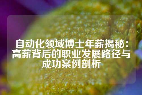 自动化领域博士年薪揭秘：高薪背后的职业发展路径与成功案例剖析