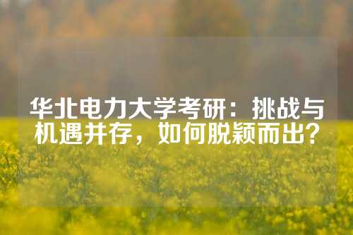 华北电力大学考研：挑战与机遇并存，如何脱颖而出？