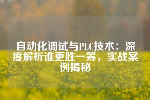 自动化调试与PLC技术：深度解析谁更胜一筹，实战案例揭秘