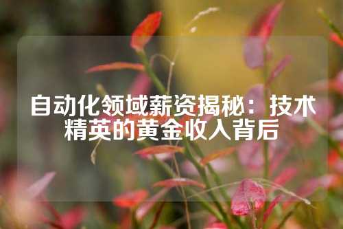自动化领域薪资揭秘:技术精英的黄金收入背后