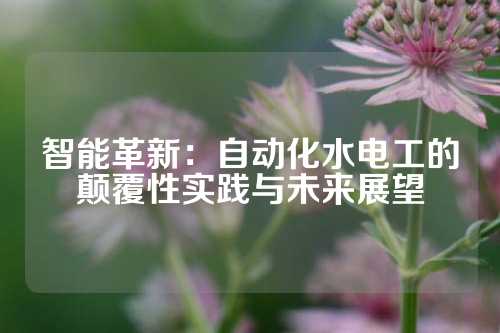 智能革新：自动化水电工的颠覆性实践与未来展望