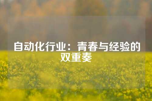 自动化行业：青春与经验的双重奏