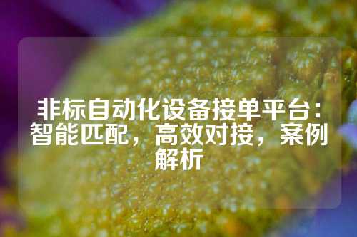 非标自动化设备接单平台：智能匹配，高效对接，案例解析