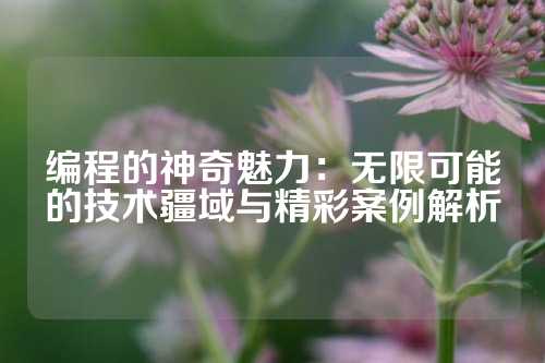 编程的神奇魅力：无限可能的技术疆域与精彩案例解析