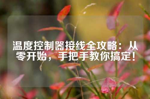 温度控制器接线全攻略：从零开始，手把手教你搞定！