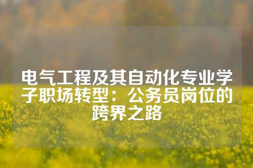 电气工程及其自动化专业学子职场转型：公务员岗位的跨界之路