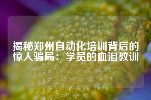揭秘郑州自动化培训背后的惊人骗局：学员的血泪教训