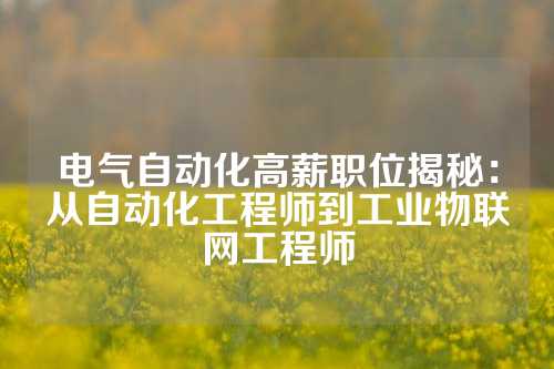 电气自动化高薪职位揭秘：从自动化工程师到工业物联网工程师