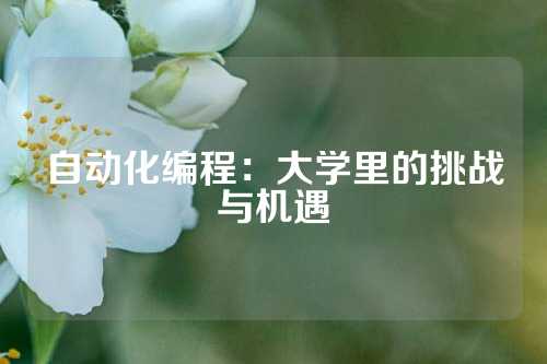 自动化编程：大学里的挑战与机遇