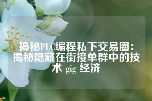 揭秘PLC编程私下交易圈：揭秘隐藏在街接单群中的技术 gig 经济