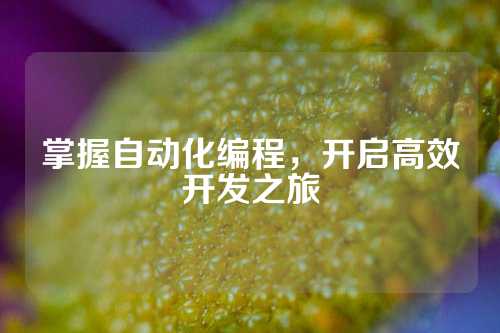 掌握自动化编程,开启高效开发之旅